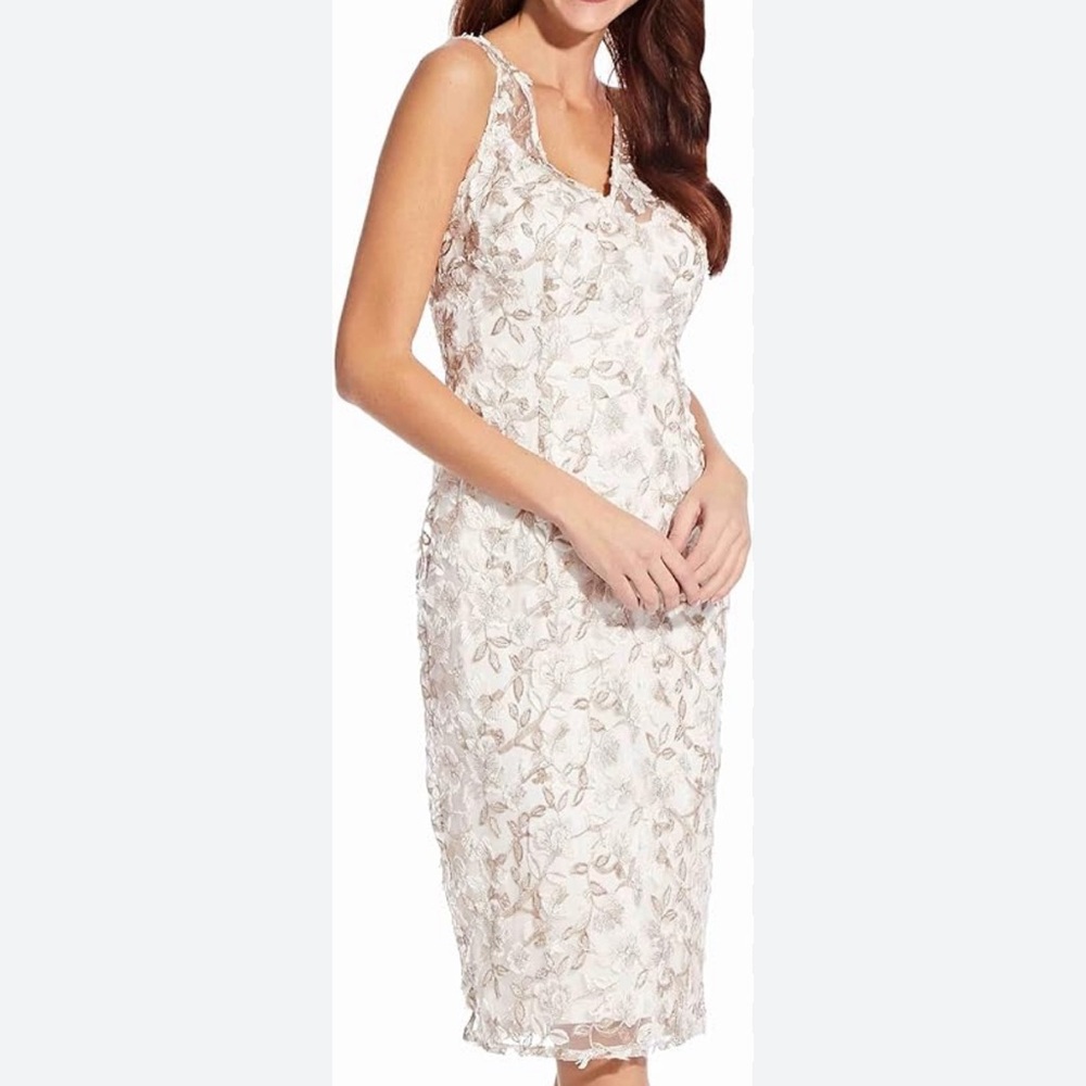 Adrienna Papell Off White Lace Overlay Sleeveless Dress Size 4 NWOT
